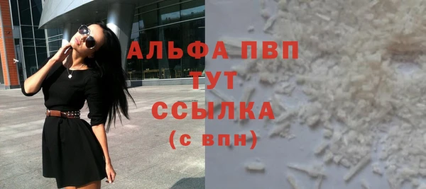 амф Гусь-Хрустальный