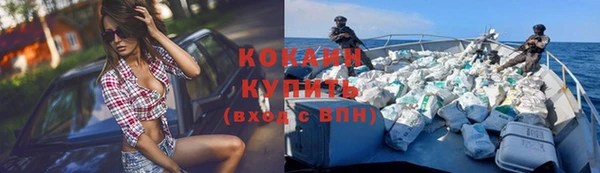 дживик Аркадак