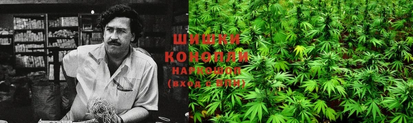 шишки Алексеевка