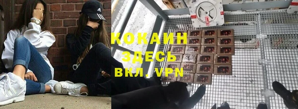 дживик Аркадак