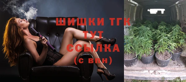спиды Арсеньев