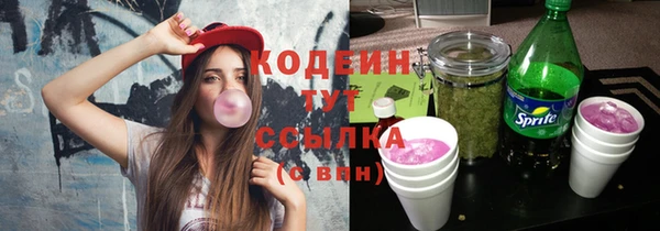 спиды Арсеньев