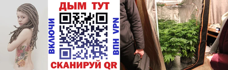 Каннабис план Чёрмоз